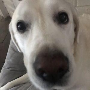 Meet your Posher, Mia